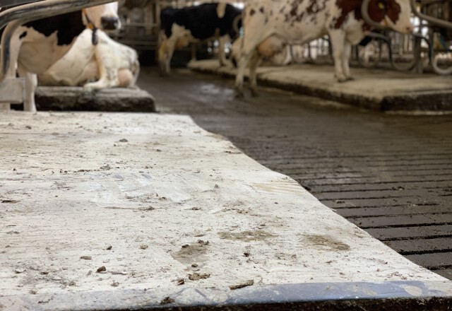 BeddingFX op matten | Berg Fourage