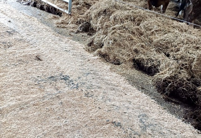 Boer Roel van Dijk boerderij Het Binnenveld