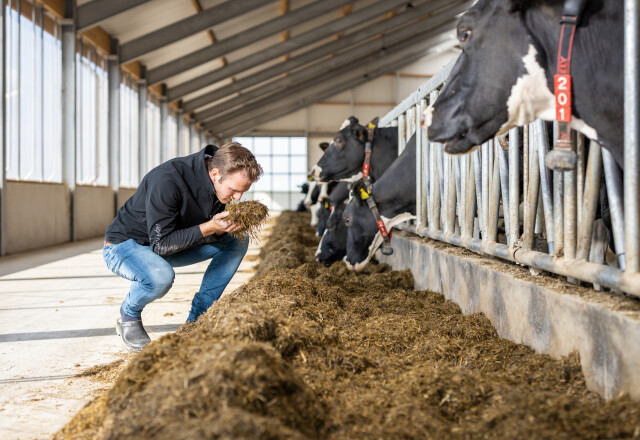 Lastige voorjaarskuil compenseren | Berg Fourage